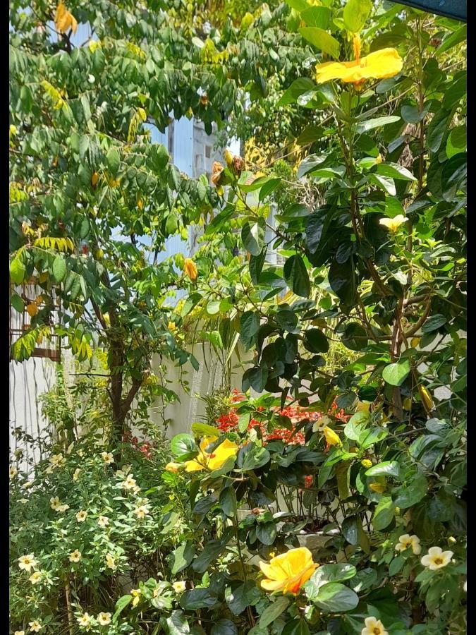 Star Garden Hoi An Apartment Ngoại thất bức ảnh