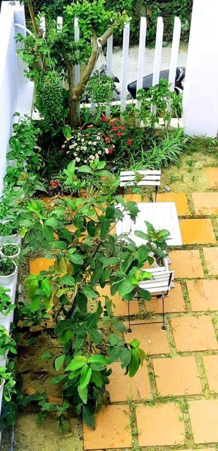 Star Garden Hoi An Apartment Ngoại thất bức ảnh